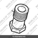 Banjo Bolt, M18 x 31 (T2100227)