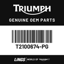 Surround, Radiator, Pntd, LH (T2100674-PG) barcode