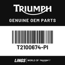 Radiator Surround, LH, Pntd (T2100674-PI) barcode