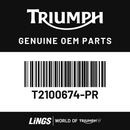 Surround, Radiator, Pntd, LH (T2100674-PR) barcode