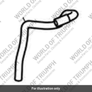 Hose, Expansion Tank Overflow (T2100687)