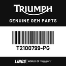 Surround, Radiator, Pntd, RH (T2100799-PG) barcode