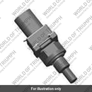 Engine Coolant Sensor (T2100812)
