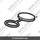 Cap, Expansion Tank (T2100997)