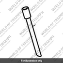 Hose, Expansion Tank, Fill (T2101084)
