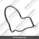 Gasket, Water Pump (T2101344)