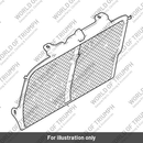 Guard, Radiator (T2101414)