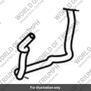Hose, Expansion, Coolant (T2101489)