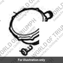 Filler Neck, Coolant (T2101499)