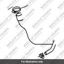 Hose Clip, 12-20, Bright (T2102111)