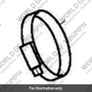 Clip, Hose, 11-12.5 (T2102116)