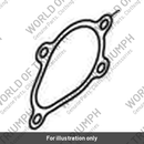 Gasket, Thermostat (T2102297)