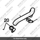 Hose, Coolant, Pump Outlet (T2105111)