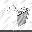 Radiator Assy (T2106301)