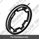 Seal, Thermostat, Rubber (T2107104)