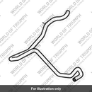 Hose, Rad to Expansion Tank (T2107550)