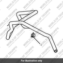 Hose, Expansion Tank to Radiator (T2109035)