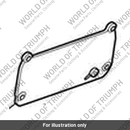 Mount Plate, Filter Cassette (T2200937)