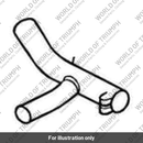 Tailpipe (T2201024)