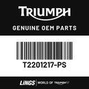 Cover, Airbox, Painted Black (T2201217-PS) barcode