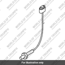 Sensor oxygen (T2201344)