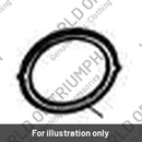 Gasket, Exhaust Header (T2201429)