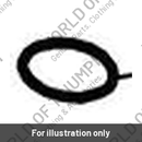 O ring (T2201759)