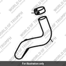 Breather Hose, Crankcase (T2201810)