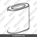 Air Filter (T2202203)