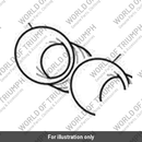 Trumpet, Filter Box, 1 (T2202249)