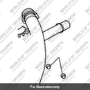 Exhaust Header Pipe, RH,  Brushed (T2202615)