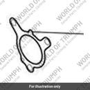 Gasket, Exhaust Port (T2203164)
