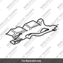 Heat Shield, Catalyst (T2203233)