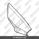 Heat Shield, Carbon, RHS (T2203442)