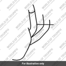 Primary pipe assembly (T2203757)