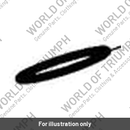 Clip (T2204011)