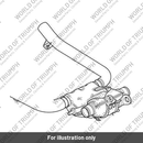 Catbox, Link Pipe Assy, Brushed (T2204239)