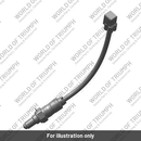 Oxygen Sensor, PT, M12, 250mm (T2204258)