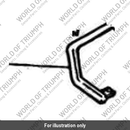 Grab rail (T2300236-CF)