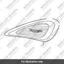 Pad rubber (T2300303)