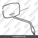 Mirror assembly RH (T2300524)