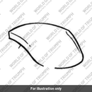 Windscreen (T2300860)