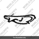 Facia panel lh (T2300985)