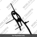 Mirror base (T2301405)