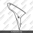 Panel, RH Facia (T2301657)