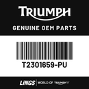 Sidepanel, RH, Painted (T2301659-PU) barcode