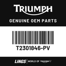 Side Panel, LH (T2301846-PV) barcode