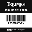 Side Panel, RH (T2301847-PV) barcode