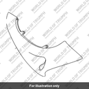 Side panel rh (T2301920-ED)