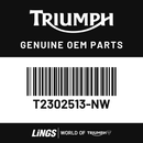 Fairing, Cockpit, RH, Painted (T2302513-NW) barcode